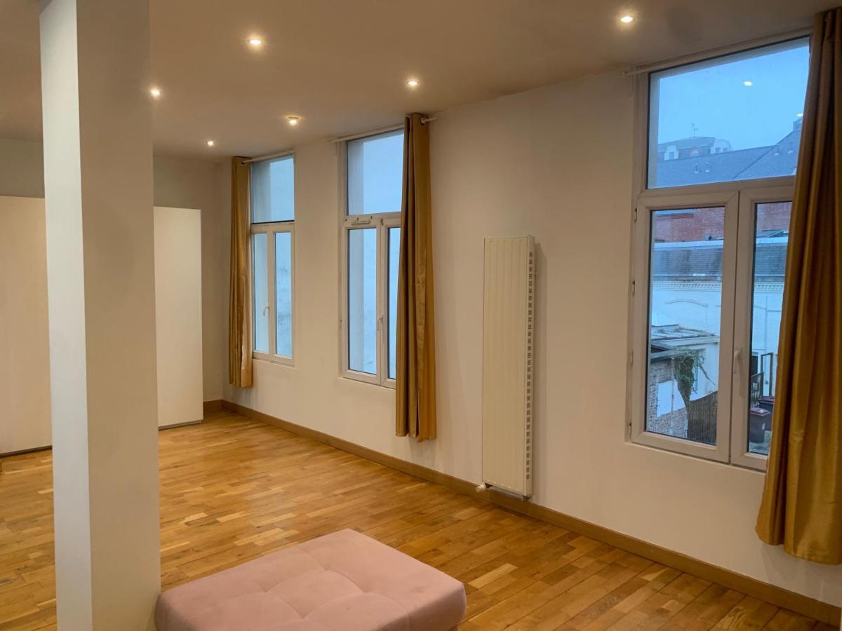 Spacieux 100 M2 Pour 7 Personnes En Plein Centre-Ville Лил Екстериор снимка